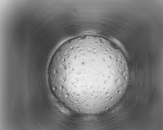 X0000069391435200605262105