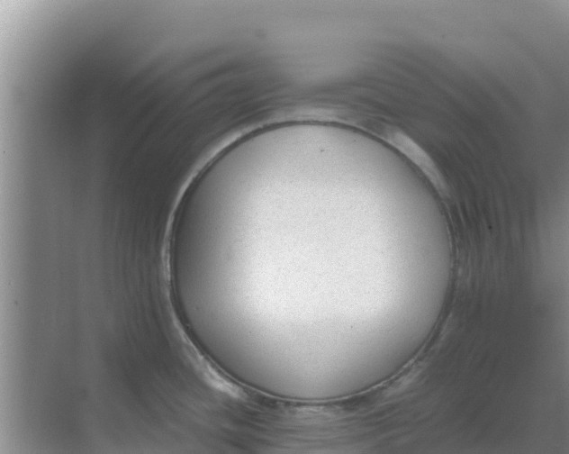 X0000069391436200605262105