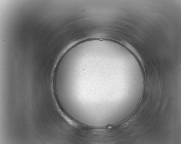 X0000069391437200605262105