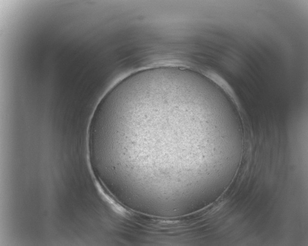 X0000069391439200605262105