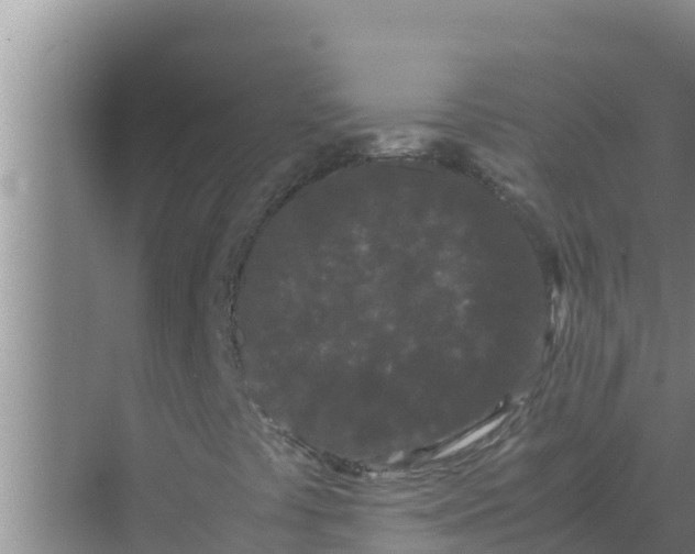 X0000069391441200605262104