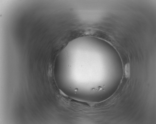 X0000069391443200605262104