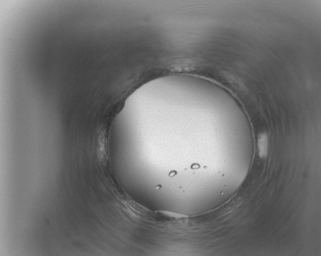 X0000069391444200605262104