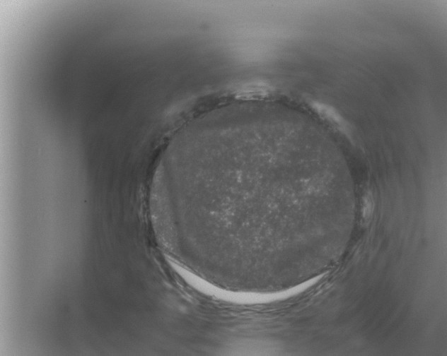 X0000069391445200605262104