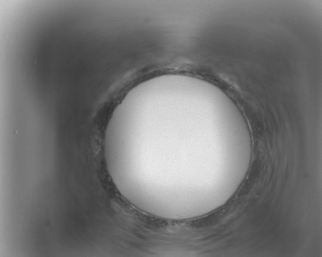 X0000069391447200605262104