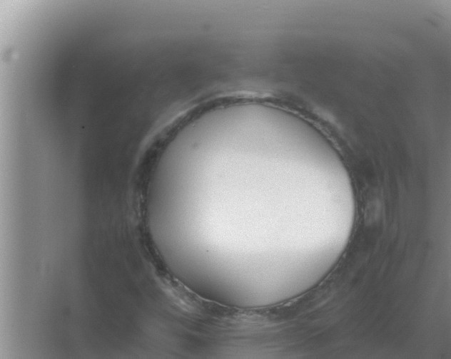 X0000069391448200605262104