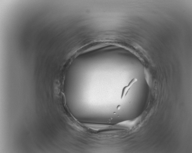 X0000069391449200605262104