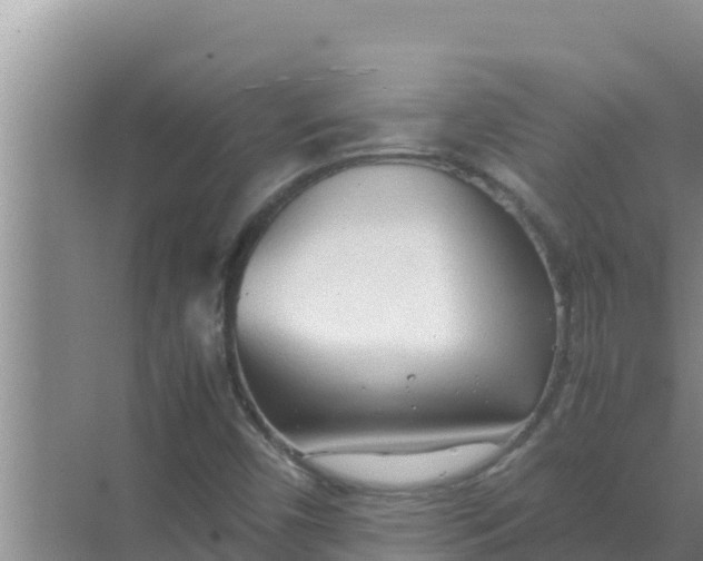 X0000069391450200605262104