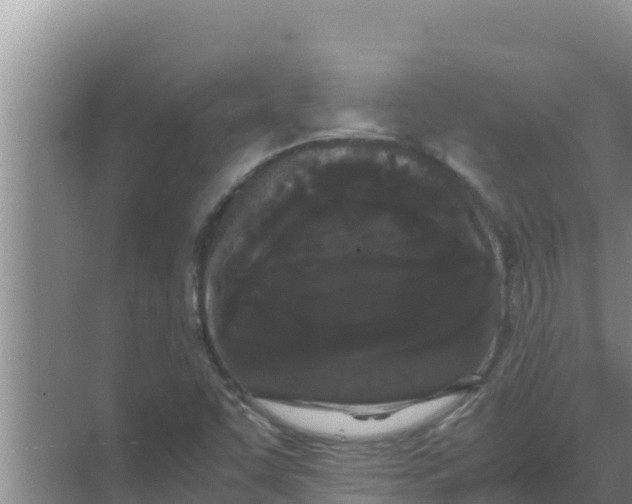 X0000069391455200605262104