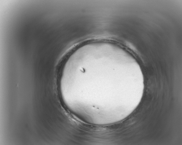 X0000069391456200605262104