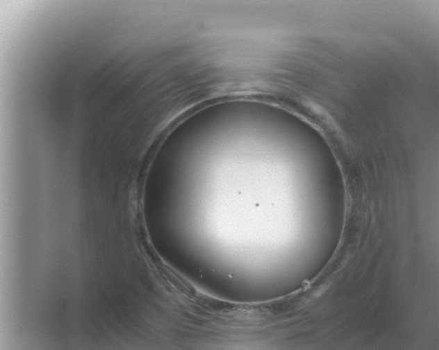 X0000069391457200605262104