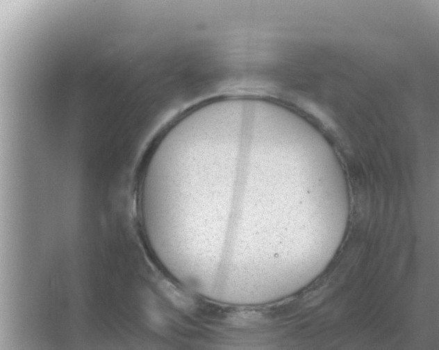 X0000069391462200605262104