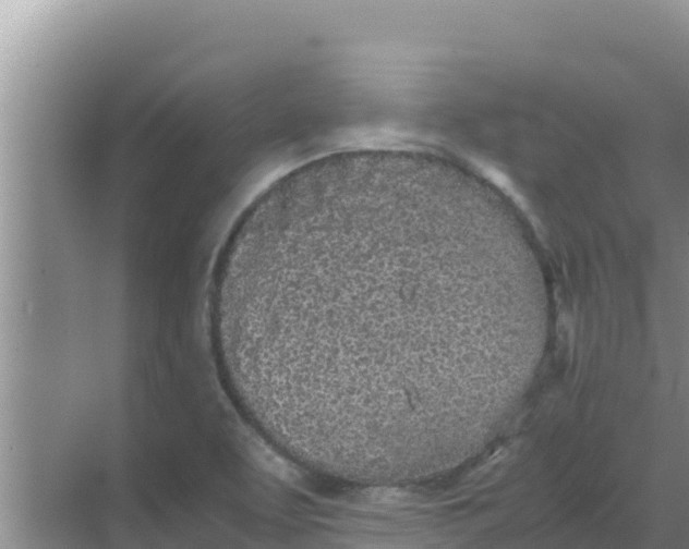 X0000069391463200605262104