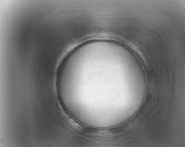 X0000069391464200605262104