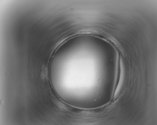 X0000069391465200605262104