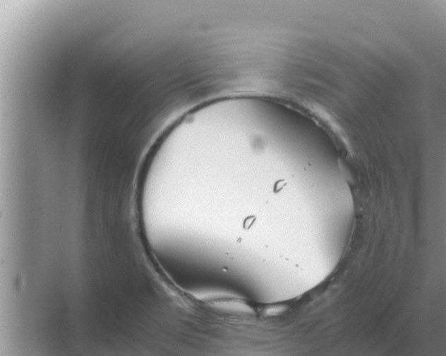 X0000069391469200605262104