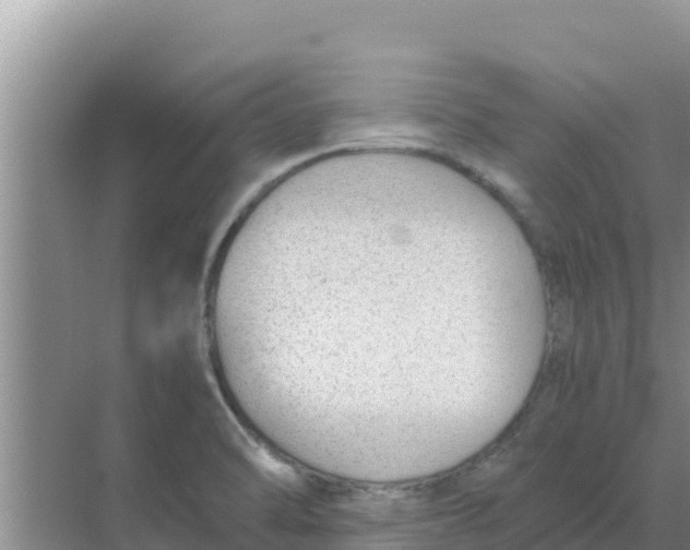 X0000069391470200605262104