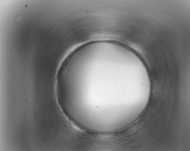 X0000069391472200605262103