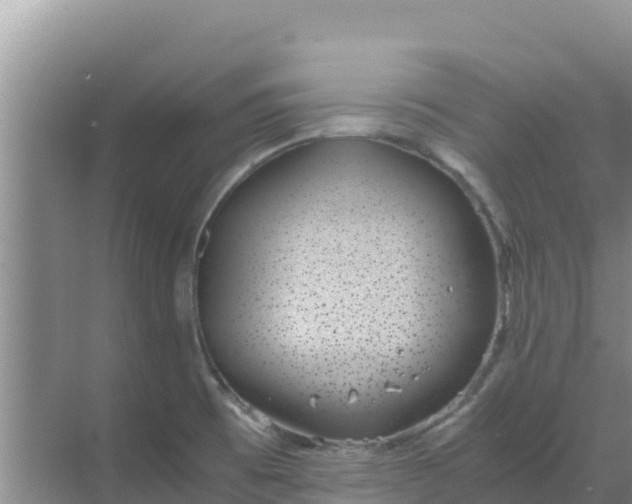 X0000069391473200605262103