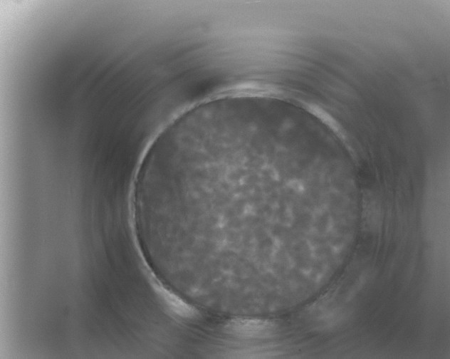 X0000069391474200605262103