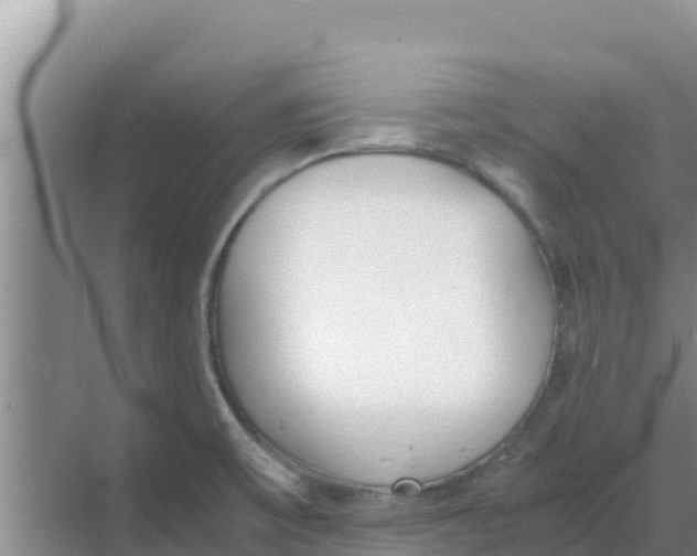 X0000069391475200605262103