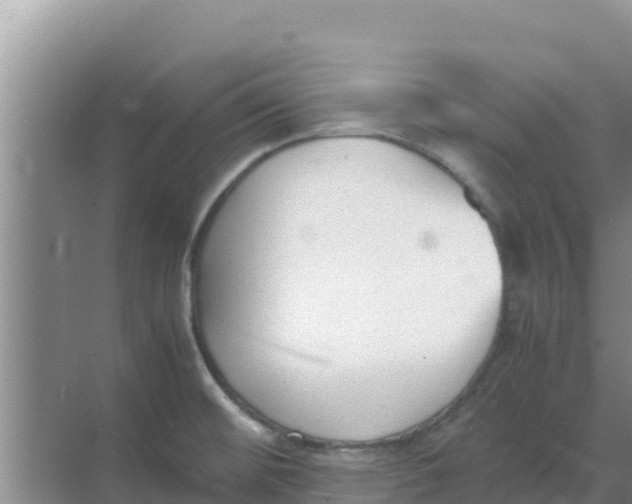 X0000069391476200605262103