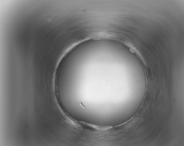 X0000069391477200605262103