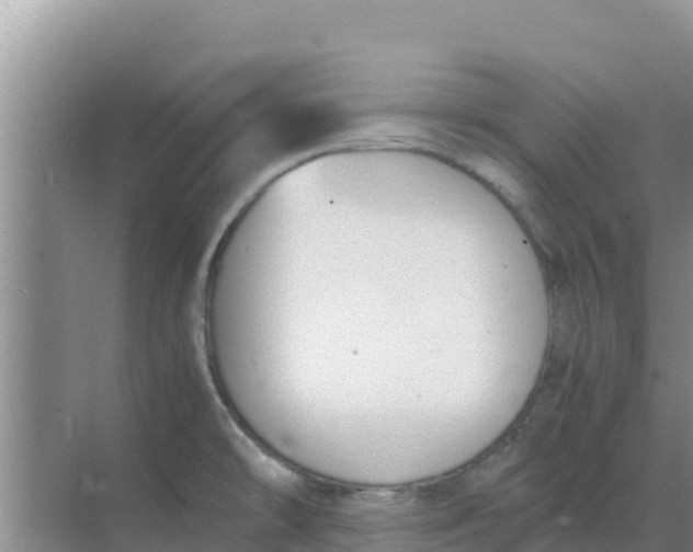 X0000069391478200605262103