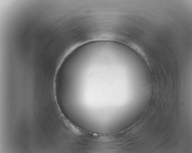 X0000069391480200605262103