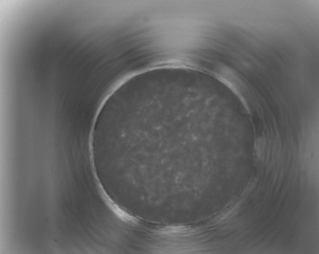 X0000069391482200605262103