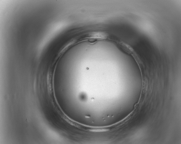 X0000069391487200605262103