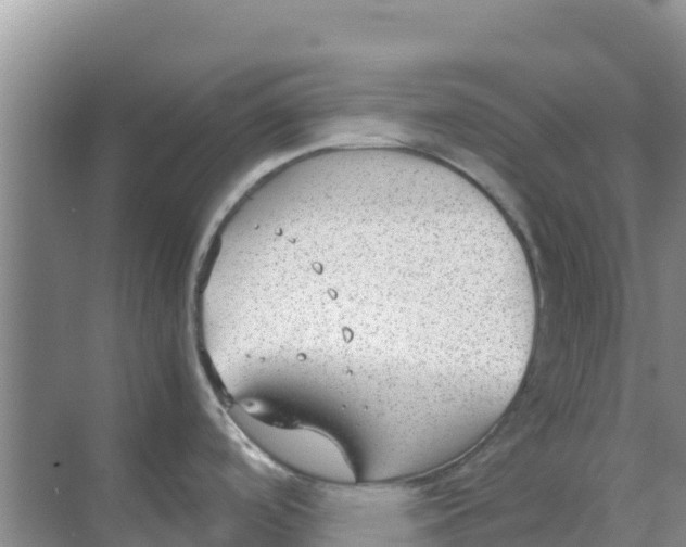 X0000069391488200605262103