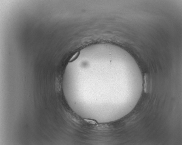 X0000069391491200605262102