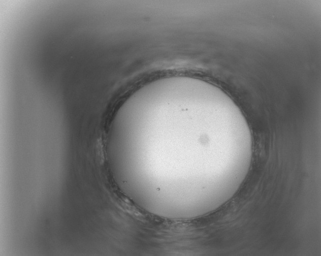 X0000069391493200605262102