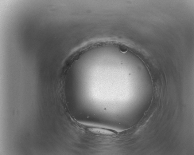 X0000069391494200605262102