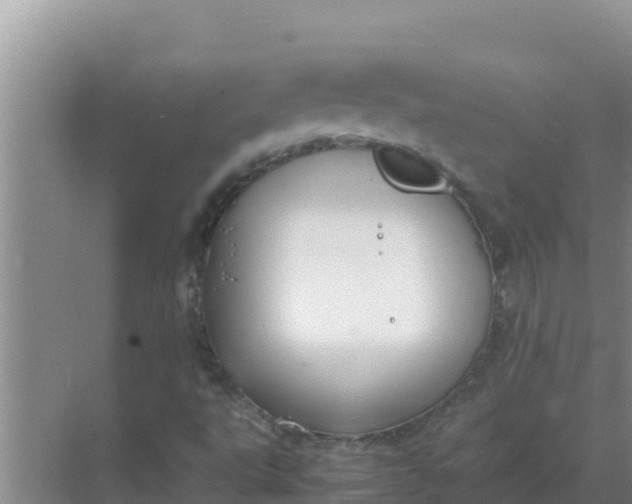 X0000069391495200605262103