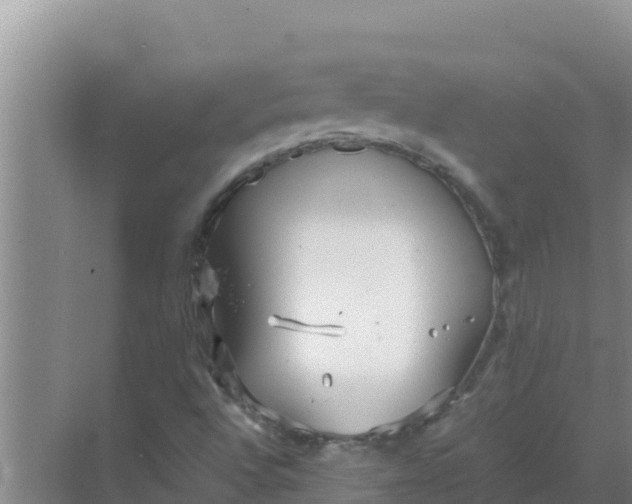 X0000069391496200605262103