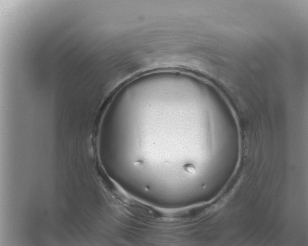 X0000069391497200605262103