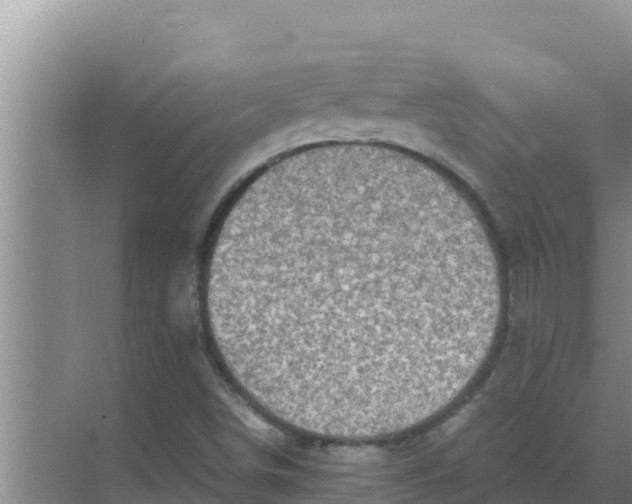 X0000069391498200605262103