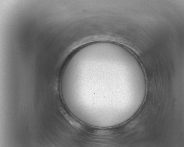 X0000069391499200605262103