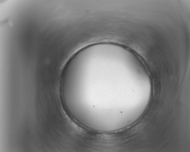 X0000069391500200605262103