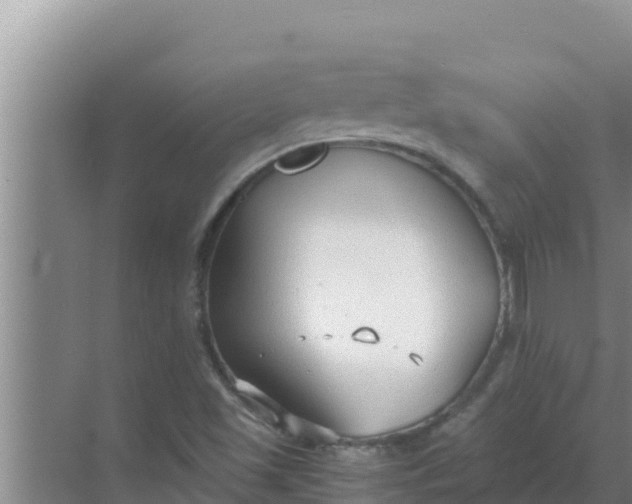 X0000069391501200605262103