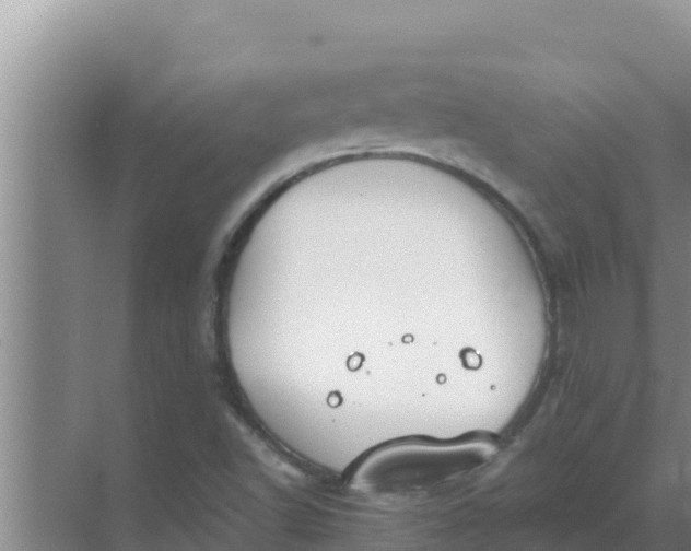 X0000069391502200605262103