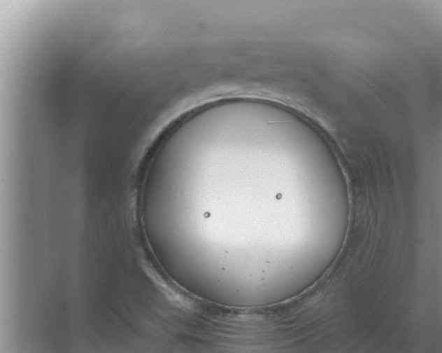 X0000069391503200605262103