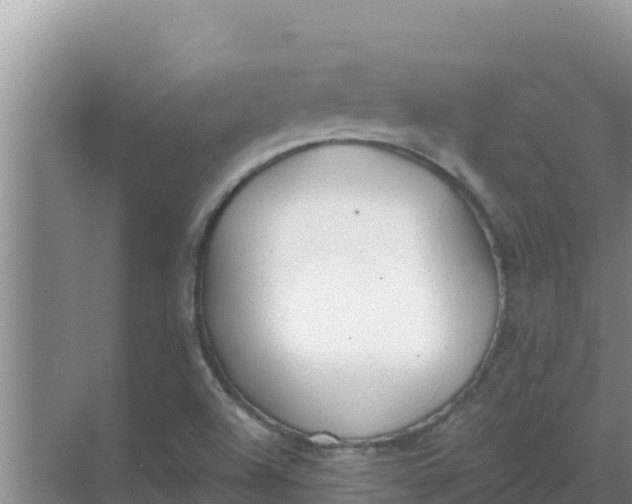 X0000069391504200605262103