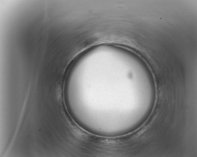 X0000069391505200605262103