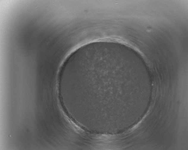 X0000069391506200605262103