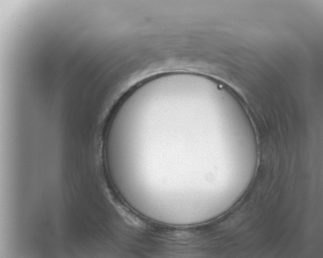 X0000069391507200605262103