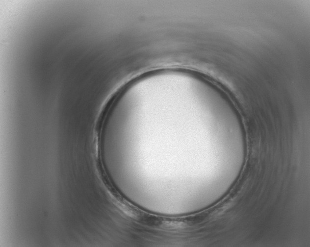 X0000069391509200605262103