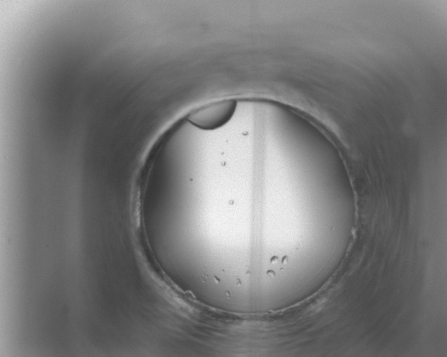 X0000069391510200605262103